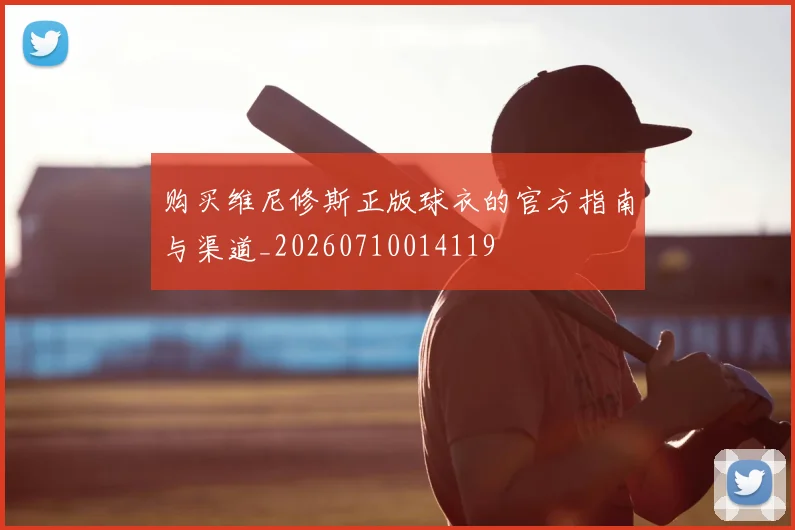 购买维尼修斯正版球衣的官方指南与渠道_20260710014119