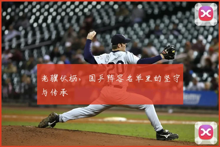 老骥伏枥，国乒阵容名单里的坚守与传承