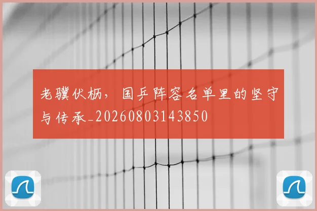 老骥伏枥,国乒阵容名单里的坚守与传承_20260803143850